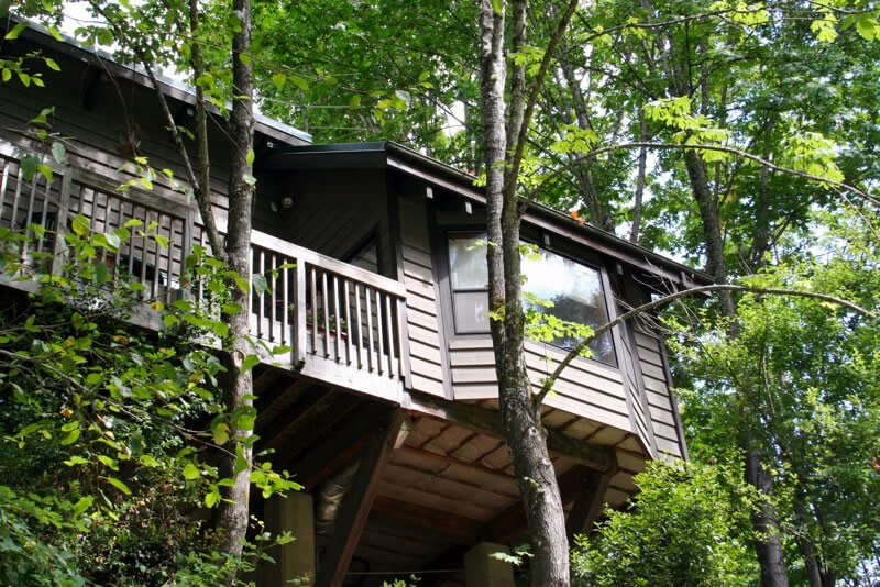 Maple Home Maple Home